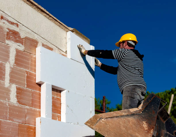 Best Home Insulation Services  in Chesnut Hill, PA
