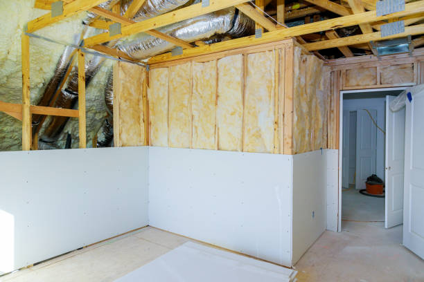 Best Insulation Contractors for Homes  in Chesnut Hill, PA