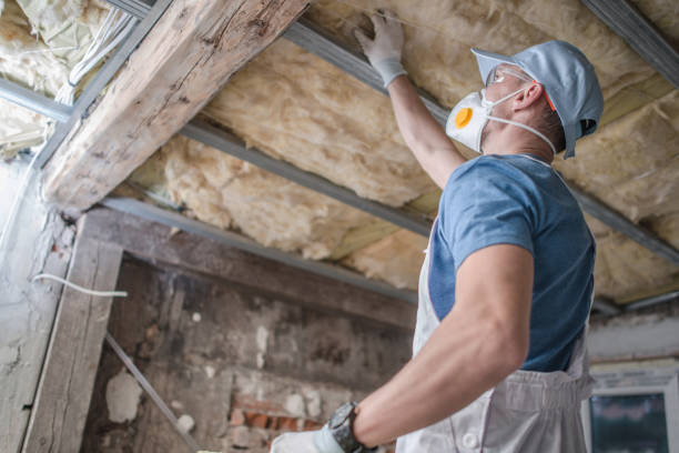 Best Home Insulation Services  in Chesnut Hill, PA