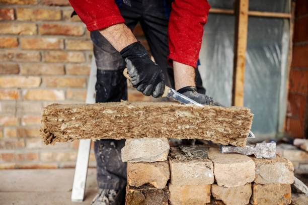 Best Insulation Contractor Near Me  in Chesnut Hill, PA