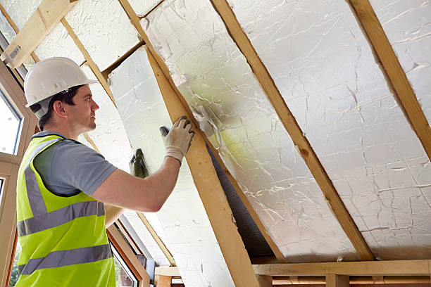 Best Crawl Space Insulation  in Chesnut Hill, PA