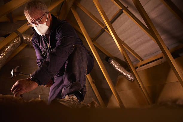 Best Attic Insulation Installation  in Chesnut Hill, PA